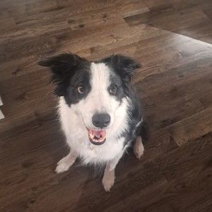 Meet your Posher, Aj